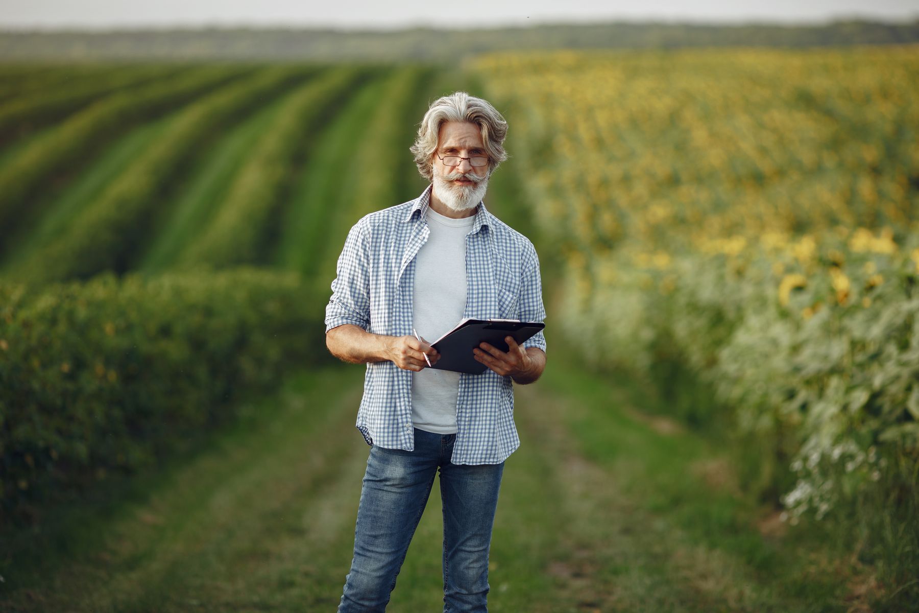 Farmer using digital technology in a cultivated field